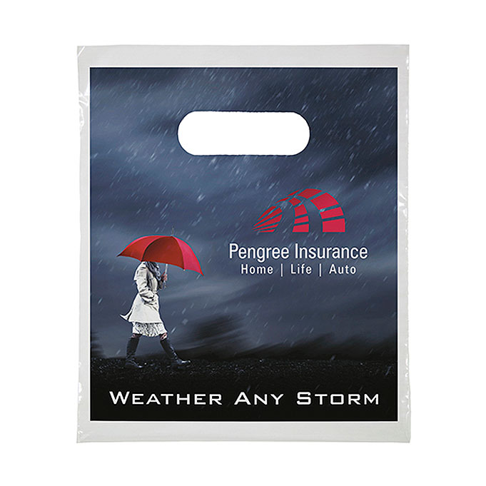 Full Color Die Cut Handle Plastic Bags 7 12 x 9