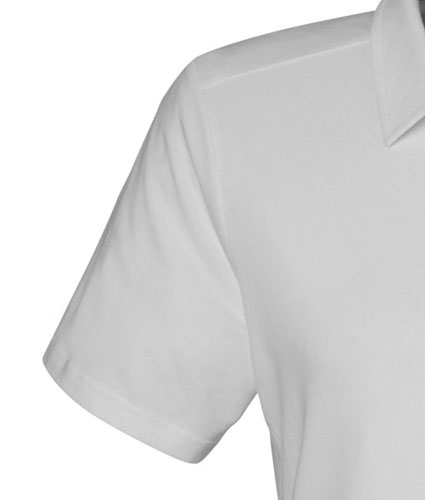 134447-devon-jones-ladies-raleigh-stretch-polo-1.jpg