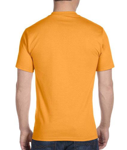 25807-hanes-adult-essential-t-cotton-t-shirt-1.jpg