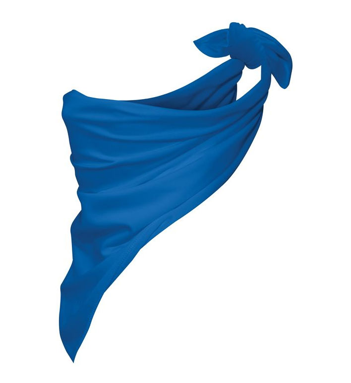Augusta Polyester Bandana